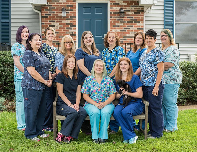 parkdale animal hospital manistee job review